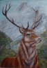 Stag in the Wilderness