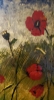 Landscape, poppy seeds, organic bees-wax on plywood , 24X36 inch, SKU 2015