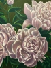 Peonies