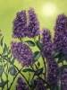 «Spring Symphony: Lilac Blooms»