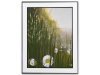Daisies and fern landscape framed