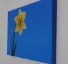 Daffodil