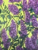 «Spring Symphony: Lilac Blooms»