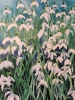 Shimmering Snowdrops 