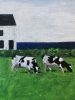 Cottages and Cows