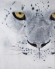 \"Ghost of the Mountains\" original snow leopard painting