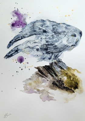 Perched Owl