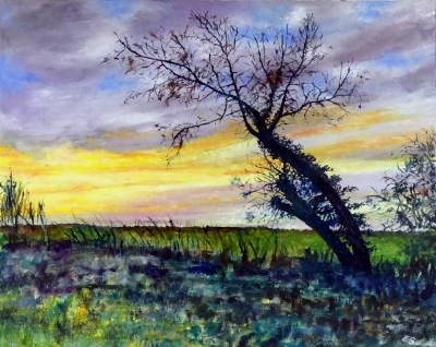A New Dawn