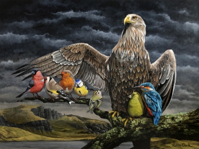 Covered by His Feathers