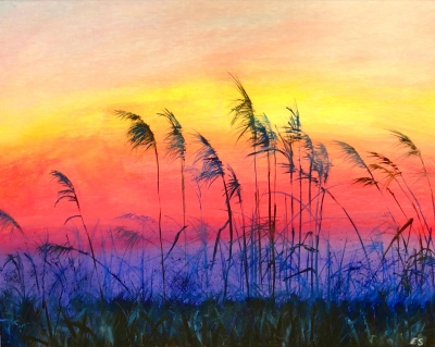 Fen Sunrise 2