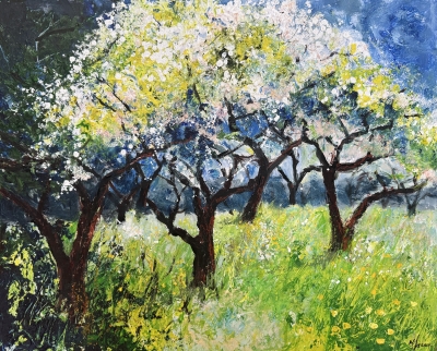 Buttercups & Blossom in the Orchard