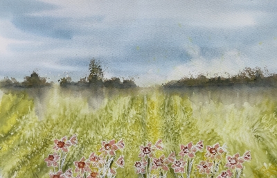 Wild Daffodils