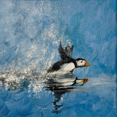 Puffin
