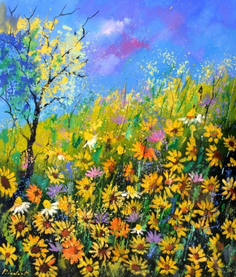 Daisies 