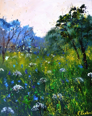 White and blue wild flowers 