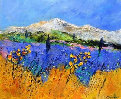 Lavender in Provence 