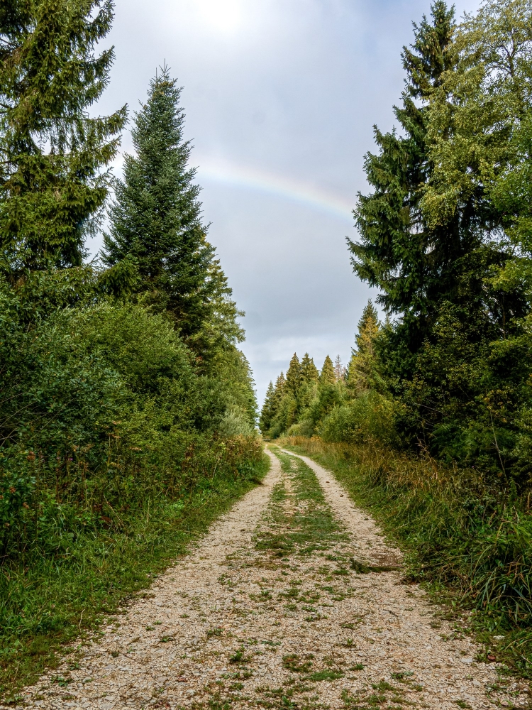 Landscape of Frasne — 40 × 60 cm