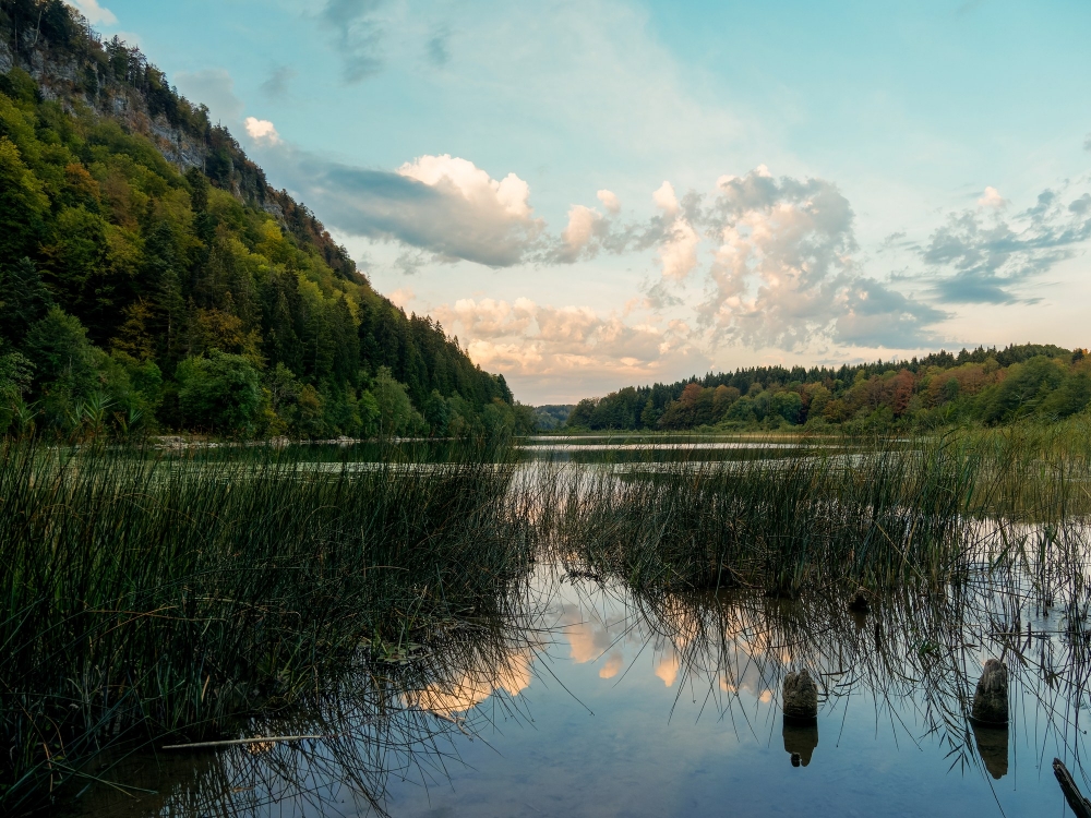 Le Petit Maclu — Le Frasnois — 70 × 50 cm