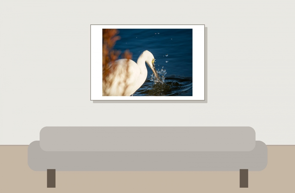 Egretta Garzetta — 20251205 — 60 × 40 cm