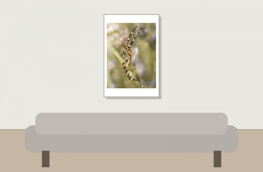 Wasp Spider in Venoy — 40 × 60 cm