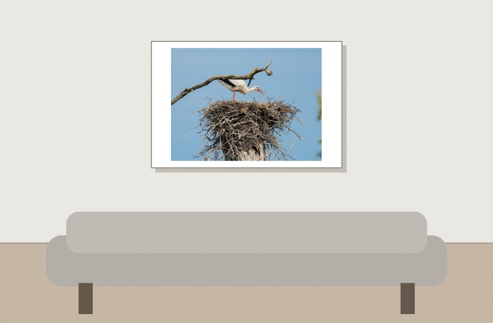 Yonne — 20250519 & 20 — 60 × 40 cm
