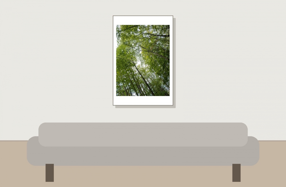 Les Planches En Montagne — 40 × 60 cm