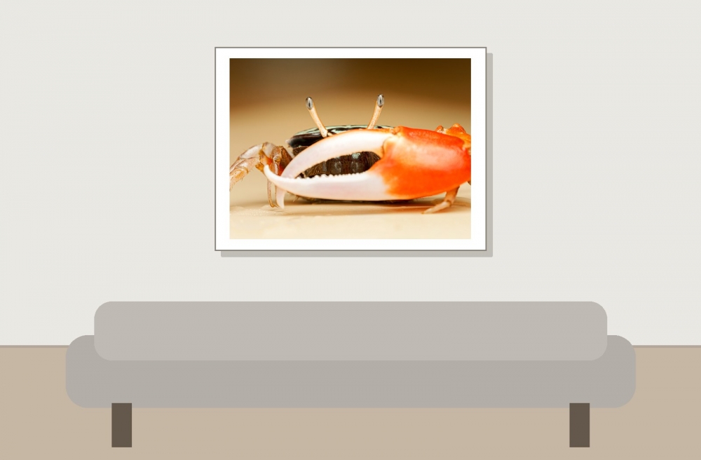 Crabe Violoniste — 20251026 — 40 × 30 cm