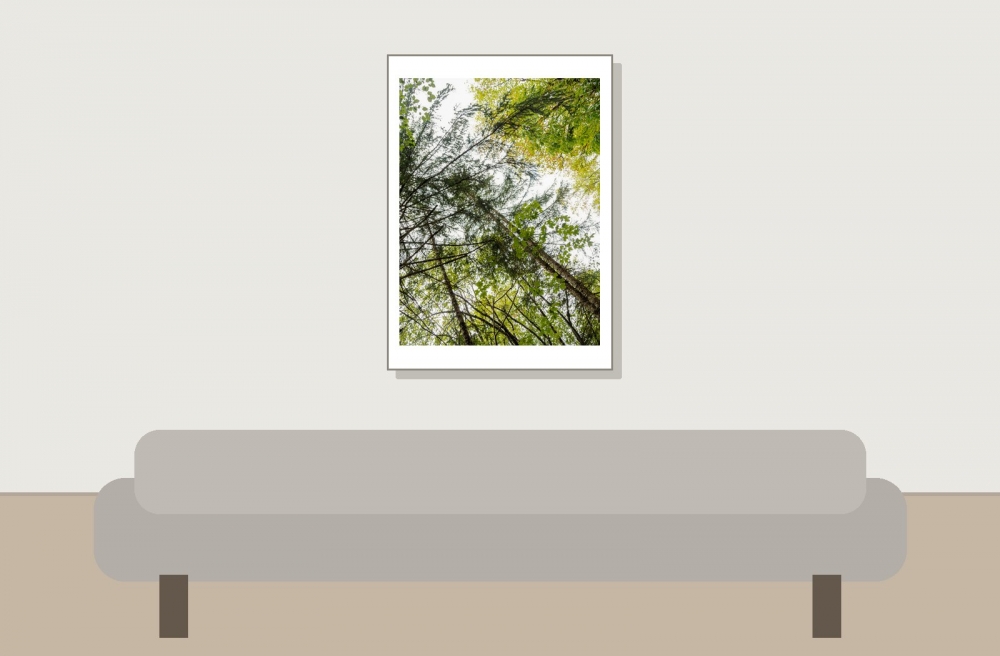 Les Planches En Montagne — 50 × 70 cm