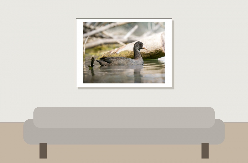 Landscape of Clairvaux-les-Lacs — 70 × 50 cm