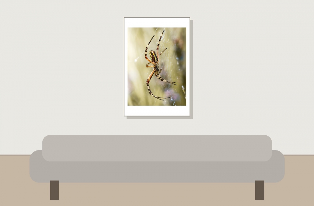 Wasp Spider in Venoy — 40 × 60 cm