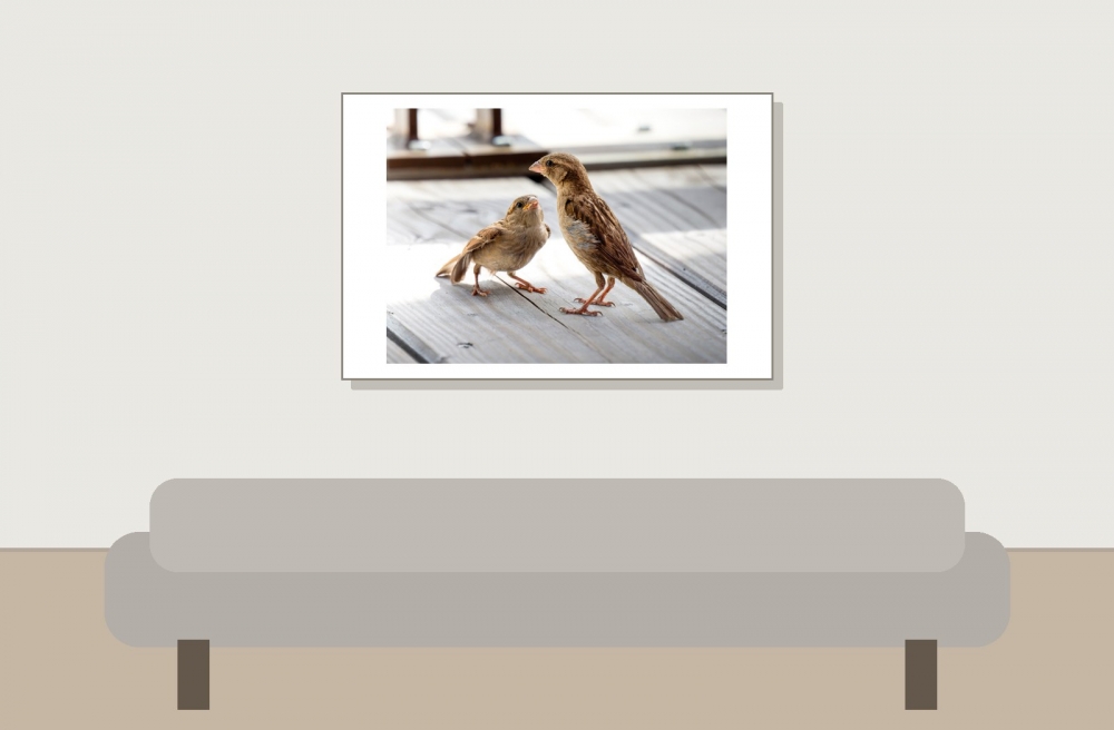 House Sparrow in Tignes — 60 × 40 cm