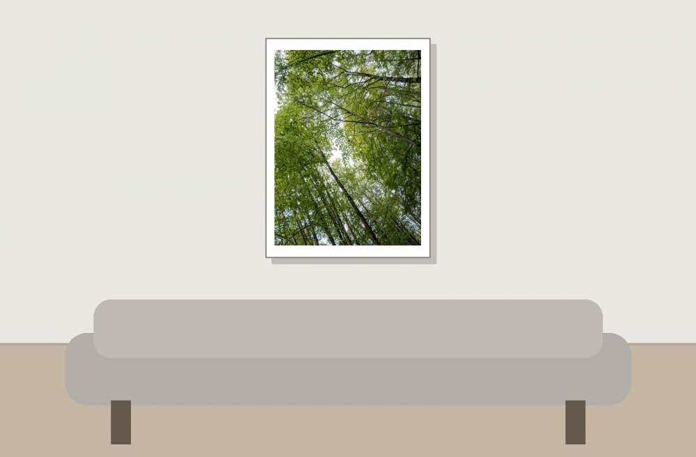 Les Planches En Montagne — 30 × 40 cm