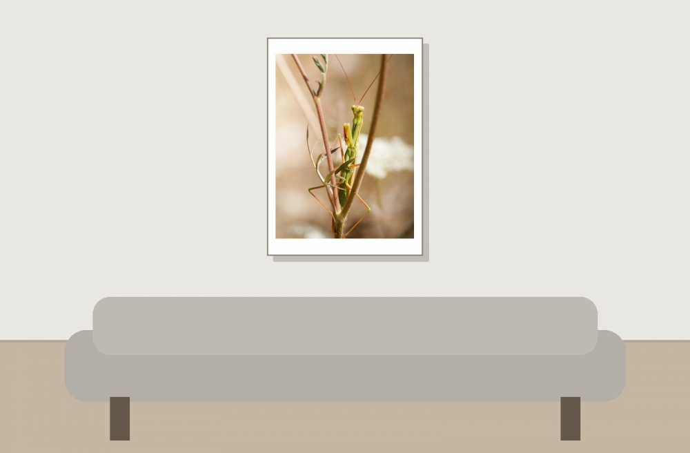 European Praying Mantis in Cheny — 50 × 70 cm