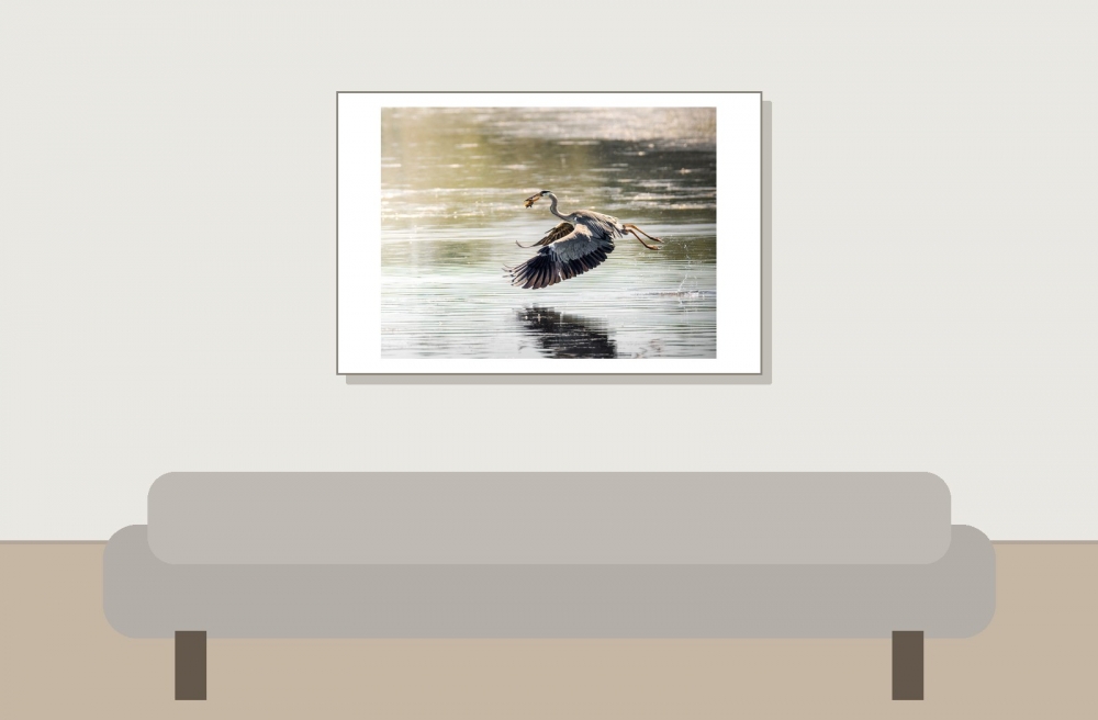 Grey Heron in Rosnay — 60 × 40 cm