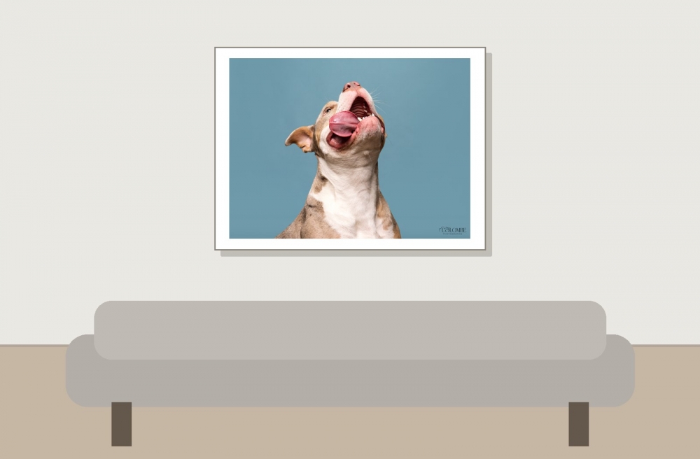Emeline, François & Tokyo X Colombe Photographie — 40 × 30 cm