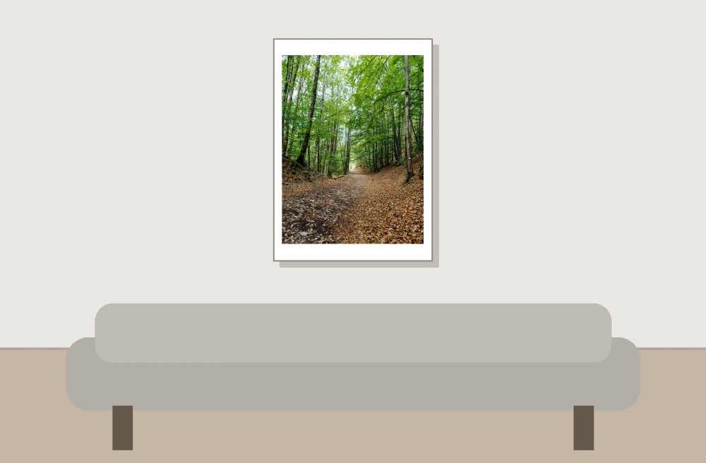 Les Planches En Montagne — 50 × 70 cm