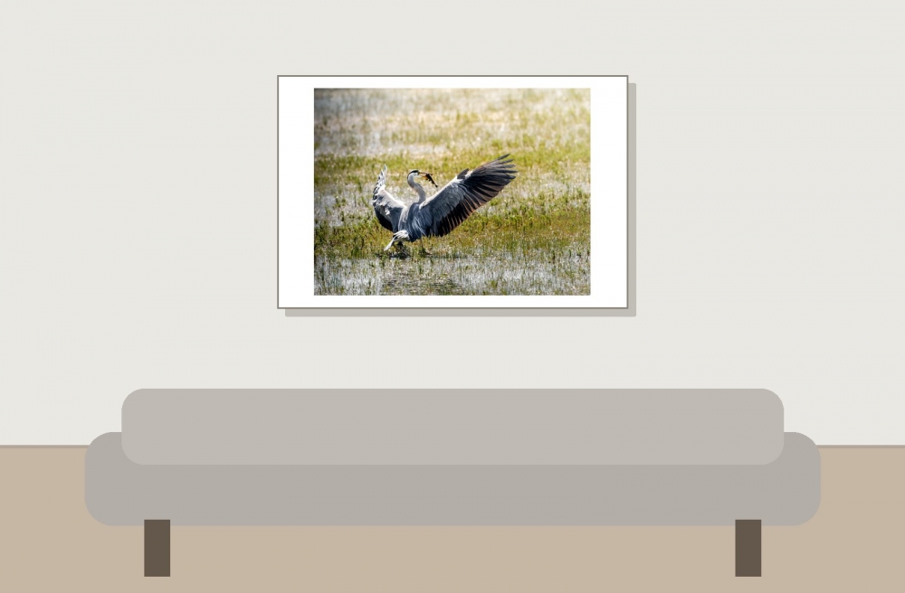 Grey Heron in Rosnay — 60 × 40 cm