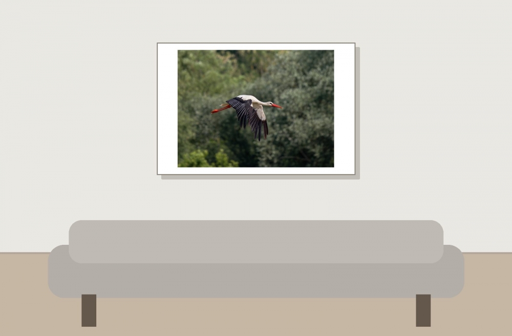 Yonne — 20250519 & 20 — 60 × 40 cm