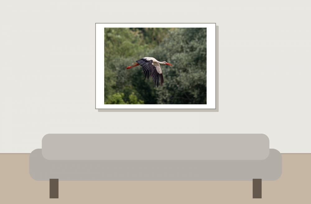 Yonne — 20250519 & 20 — 70 × 50 cm