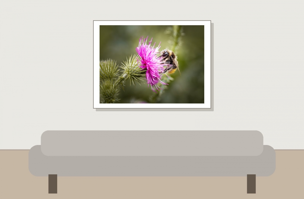 Bombus Lapidarius — 20250722 — 40 × 30 cm
