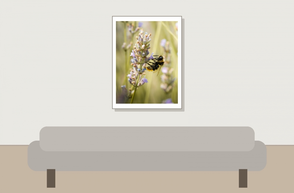 Bombus Lapidarius — Venoy — 30 × 40 cm