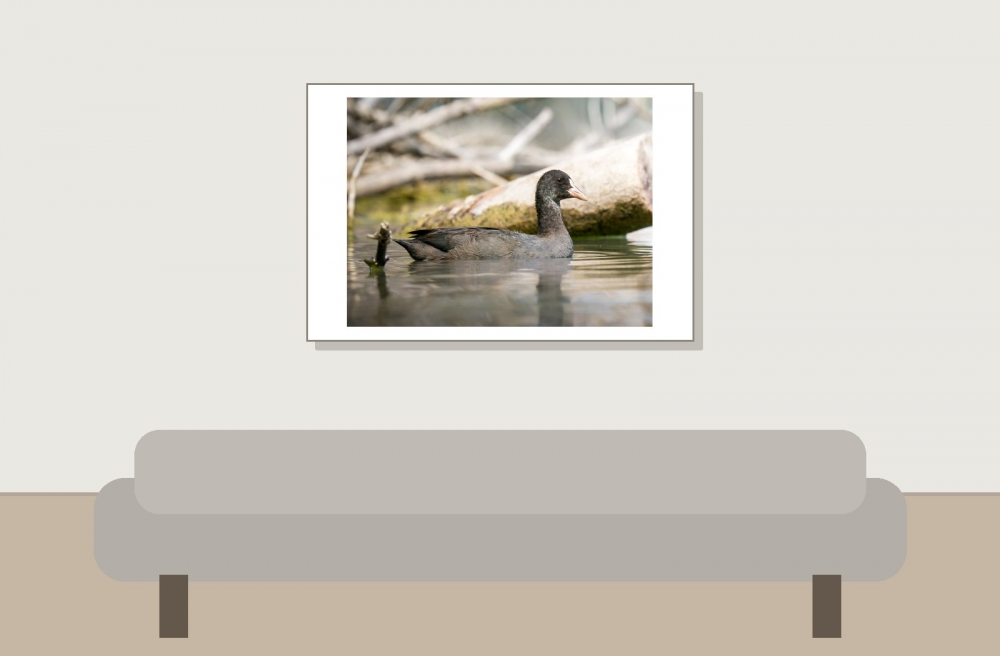 Landscape of Clairvaux-les-Lacs — 60 × 40 cm