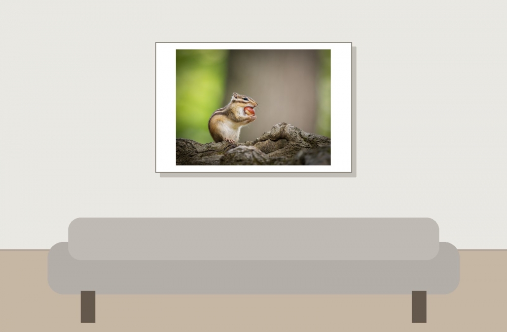 Eutamias Sibiricus — Buc — 60 × 40 cm