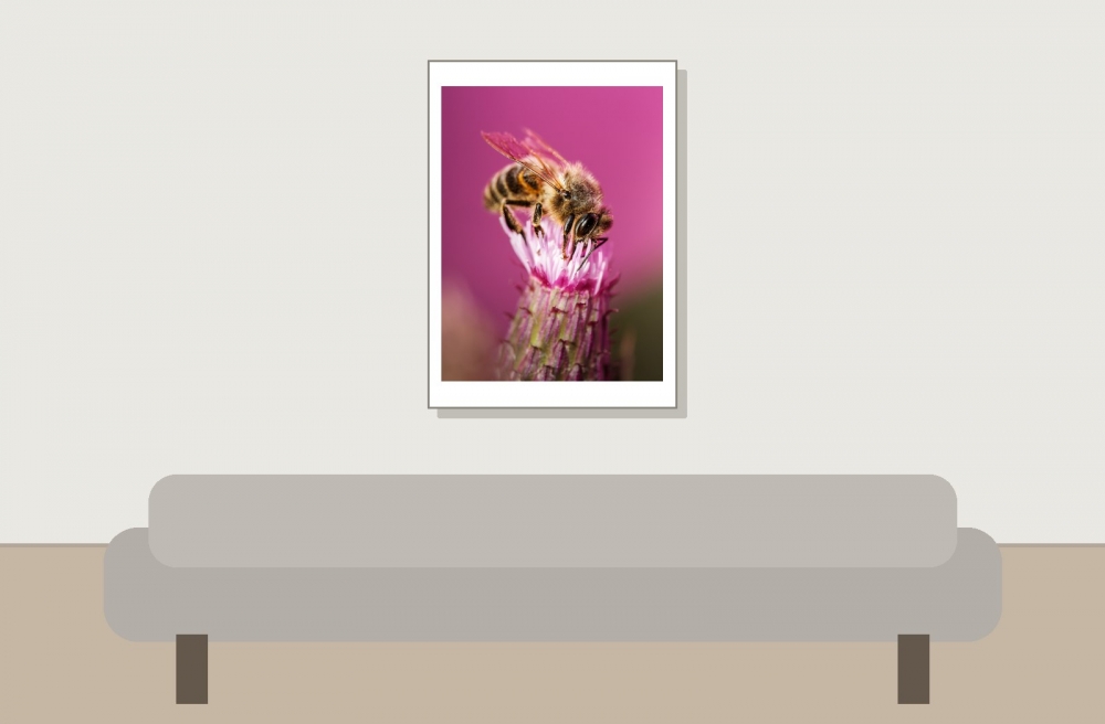 Apis Mellifera — Tignes — 50 × 70 cm