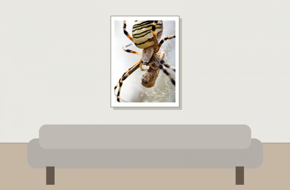 Wasp Spider in Venoy — 30 × 40 cm