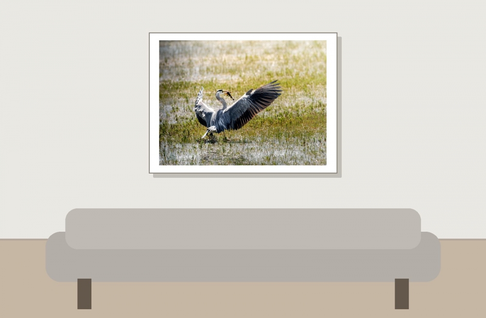 Grey Heron in Rosnay — 40 × 30 cm
