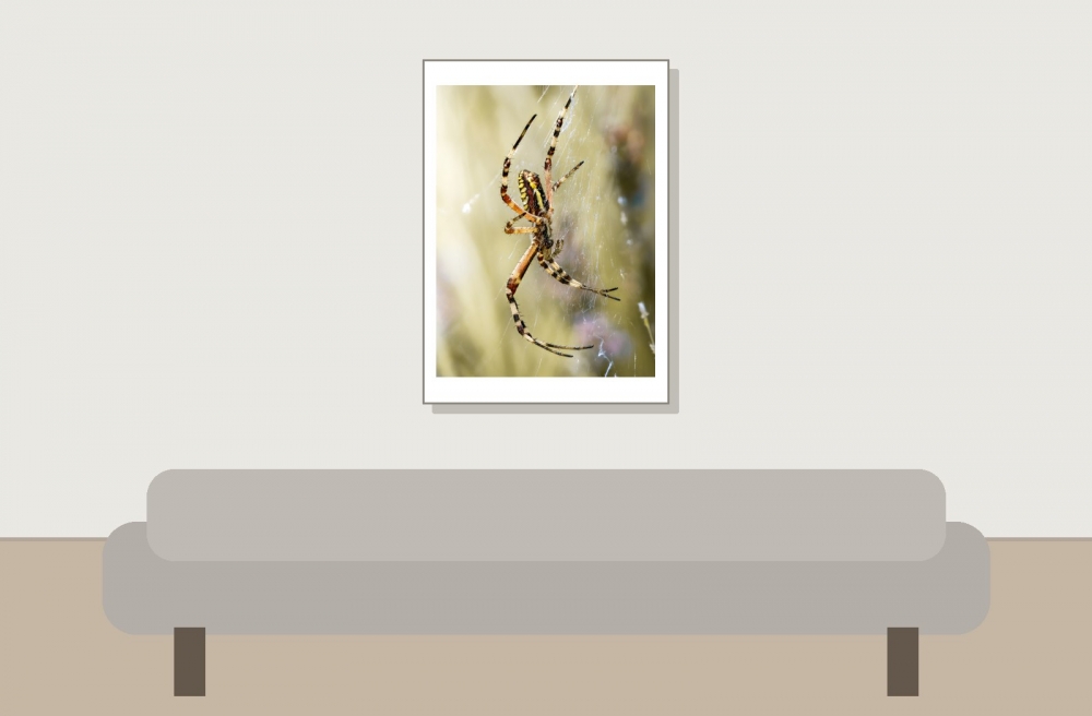 Wasp Spider in Venoy — 50 × 70 cm