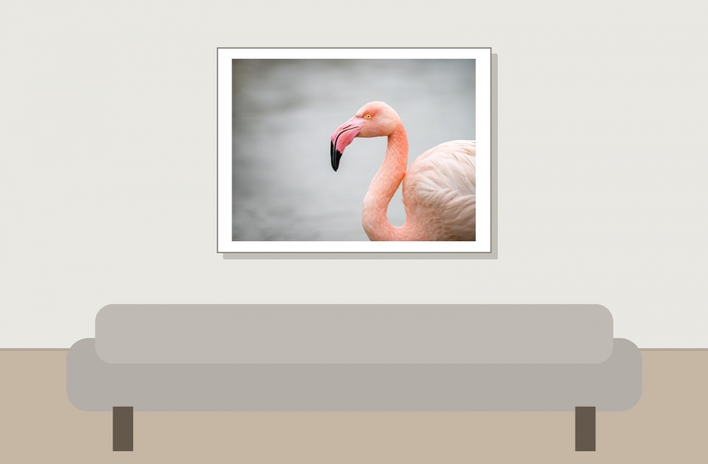 Phoenicopterus Roseus — 20251201 — 40 × 30 cm