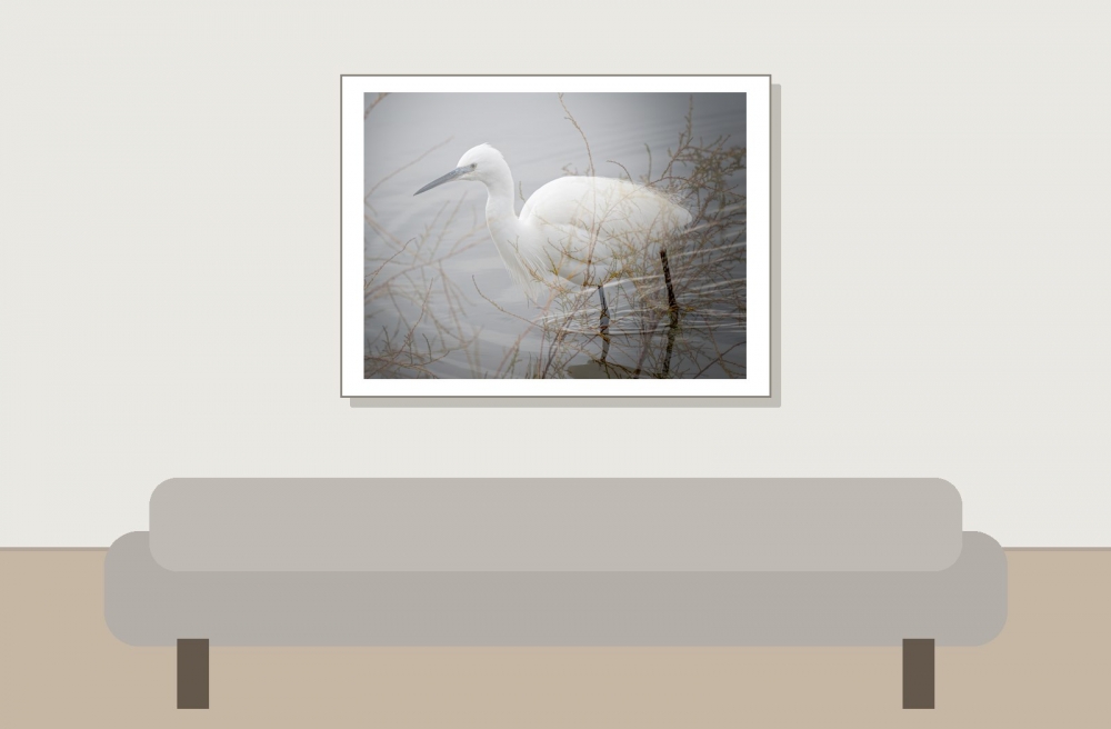 Egretta Garzetta — 20251201 — 40 × 30 cm