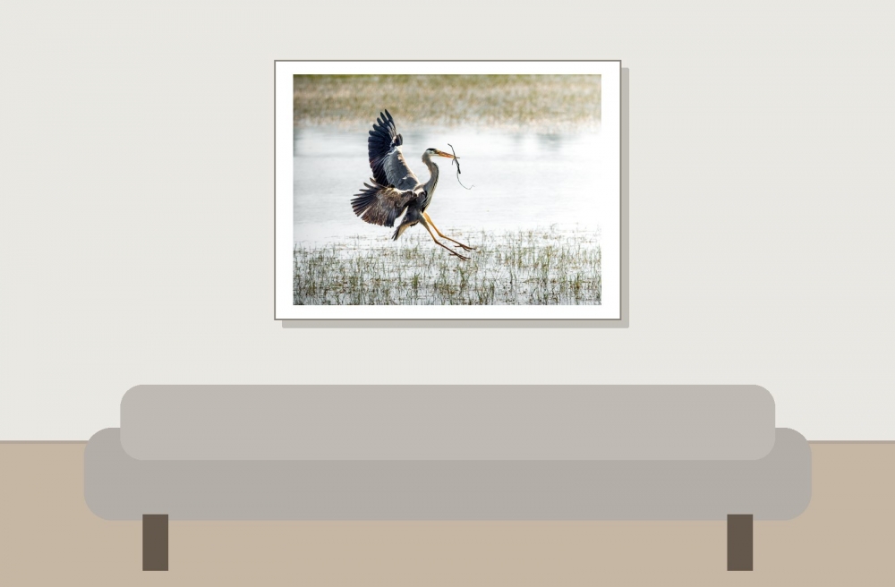 Grey Heron in Rosnay — 40 × 30 cm